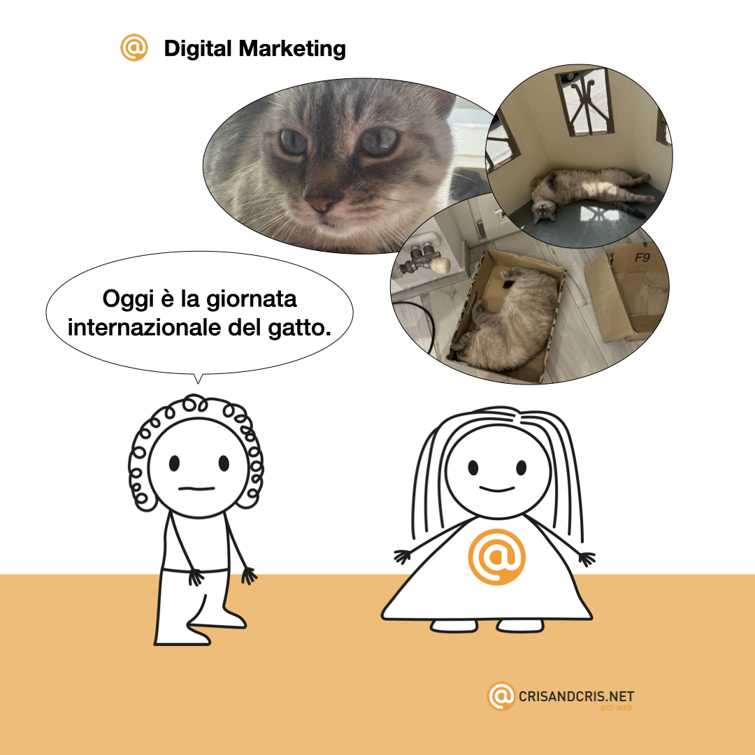 vignette sul web 2024 digital marketing